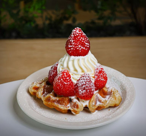 카페달곰이 전주한옥마을소금빵맛집 인근 디저트카페로 연결되는 방법